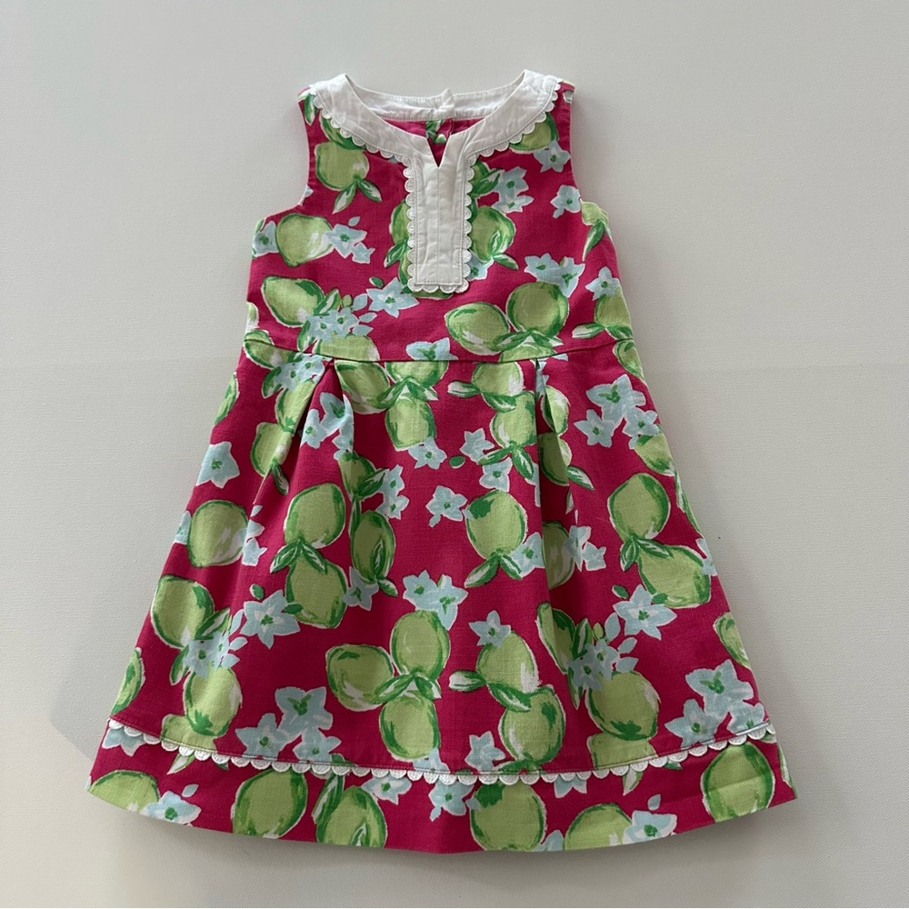 Janie and Jack Girls 4 Pink Green Party Dress